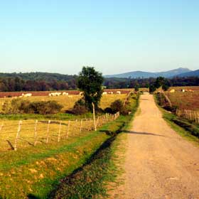 caminosantiagoespana2