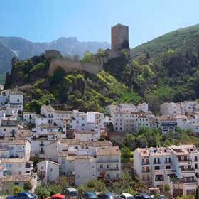 cazorilaespana1