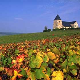 franciachampagne