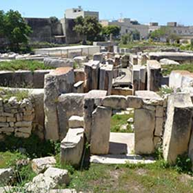maltatarxien